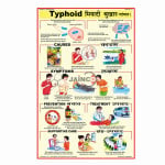 Typhoid Chart